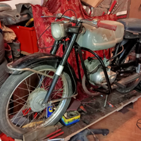 Benelli America/sprint
