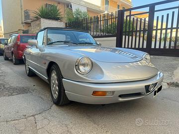 Alfa romeo spider