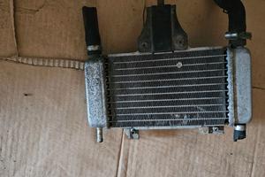 radiatore originale piaggio zip sp dna nrg