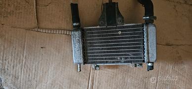 radiatore originale piaggio zip sp dna nrg