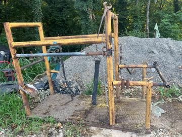 Travaglio arla bovini