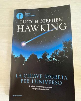 La chiave segreta per l’universo