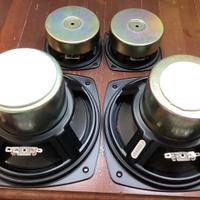 Woofer sub medi