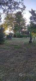 Terreno con due piccoli fabbricati