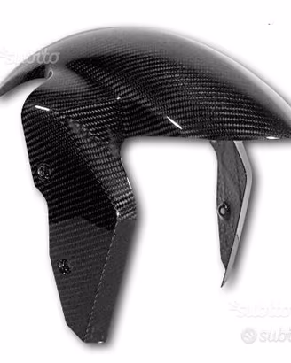 PARAFANGO ANTERIORE CARBONIO BMW S1000XR M1000XR