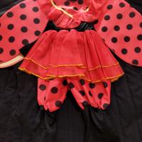 Costume carnevale coccinella