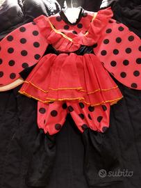 Costume carnevale coccinella