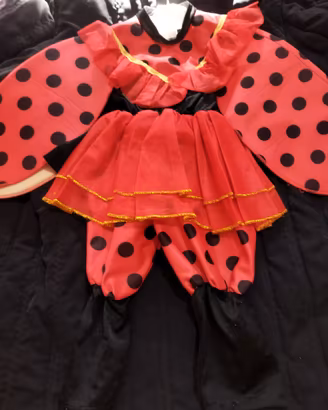 Costume carnevale coccinella