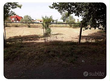 Aprilia terreno 2000 mq