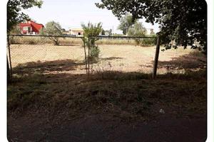 Aprilia terreno 2000 mq