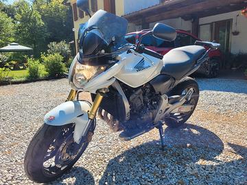 honda hornet 600 2008 (CB600F)