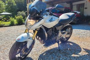 honda hornet 600 2008 (CB600F)