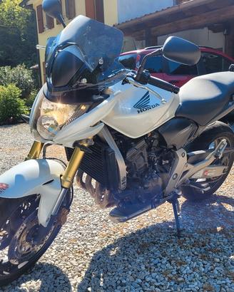honda hornet 600 2008 (CB600F)