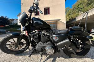  Harley Davidson 883
