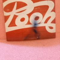 disco 33 giri Palasport 