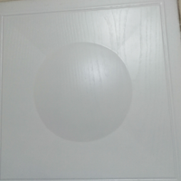 Pannelli per controsoffitto