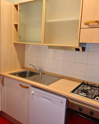 Cucina con elettrodomestici