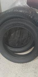 pneumatici per fat bike