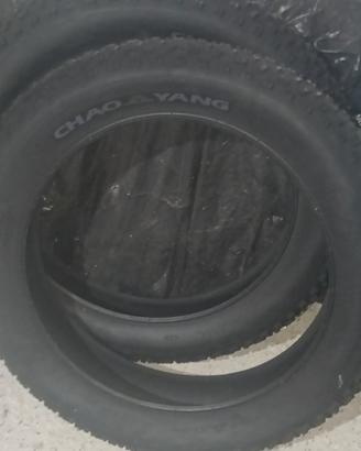 pneumatici per fat bike