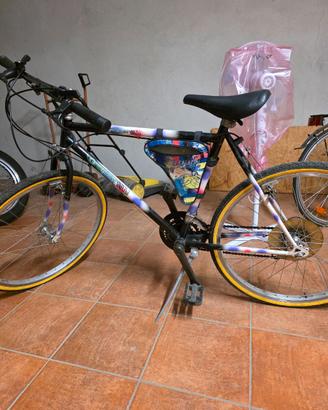 Bicicletta