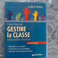 Come fare per gestire la classe di Luigi D'Alonzo