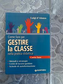 Come fare per gestire la classe di Luigi D'Alonzo