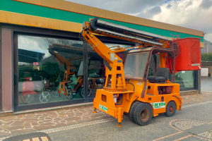 Muletto Om 25 S con cestello Bizzocchi