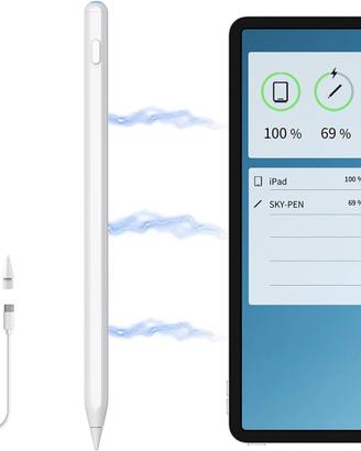 Stilo per Penna iPad con Ricarica Wireless di Tipo