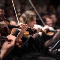 Violino e violinista professionista per matrimoni