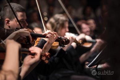 Violino e violinista professionista per matrimoni