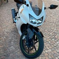 Kawasaki Ninja 250R - 2010