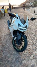 Kawasaki Ninja 250R - 2010