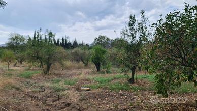 Terreno agricolo adiacente al paese