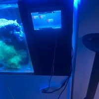 Acquario marino