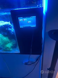 Acquario marino