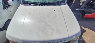 LAND ROVER RANGE ROVER SPORT HSE 2011 COFANO ANTER