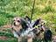 Immagine 5