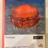 Zoologia