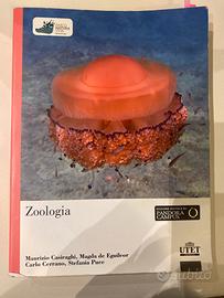 Zoologia