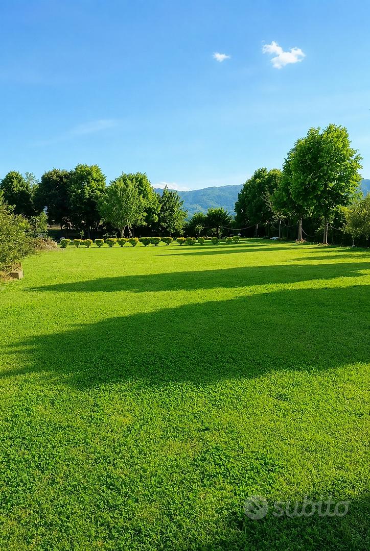 TERRENO AGRICOLO - 2.300 MQ CON POZZO - Vista 3