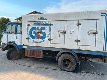 OM LUPETTO CELLA GIS