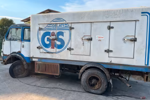 OM LUPETTO CELLA GIS