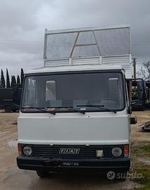 Fiat 50 F10