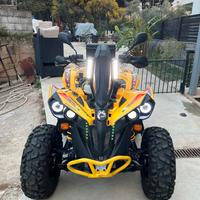 Can am renegade 500 g2