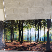 Pannelli fotografici