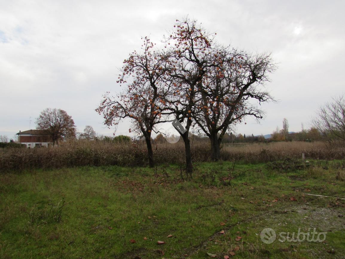 TER. AGRICOLO A SAN CESARIO SUL PANARO - Vista 5