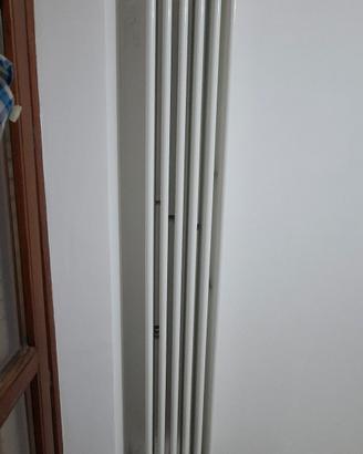Zhender  Charleston acciaio TOP di gamma