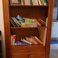 Librerie in noce