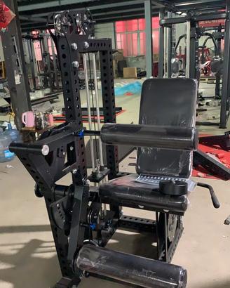 Leg extension leg  curl Professional 