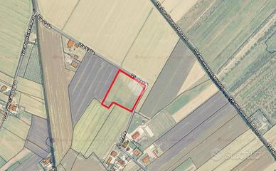 TER. AGRICOLO A CANNARA